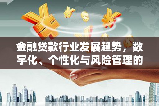 宝应县金融贷款行业发展趋势，数字化、个性化与风险管理的未来